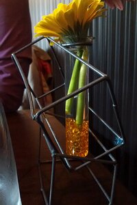 20150907_IMG131007791_MotoG-JEB